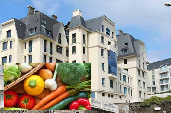 Le Normandy & OSE Environnement: un partenariat qui pousse fort !