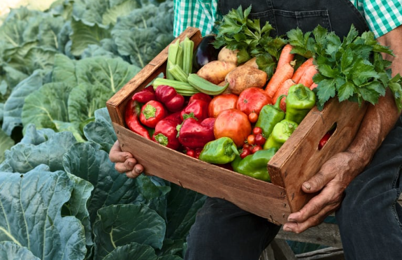 Ose environnement : pensez à commander vos paniers de légumes