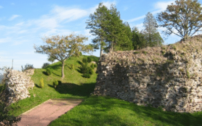 OSE Environnement & Gavray, une équipe qui gagne !