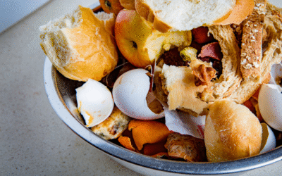 Réduire le gaspillage alimentaire et mieux s’alimenter au quotidien – OSE Environnement